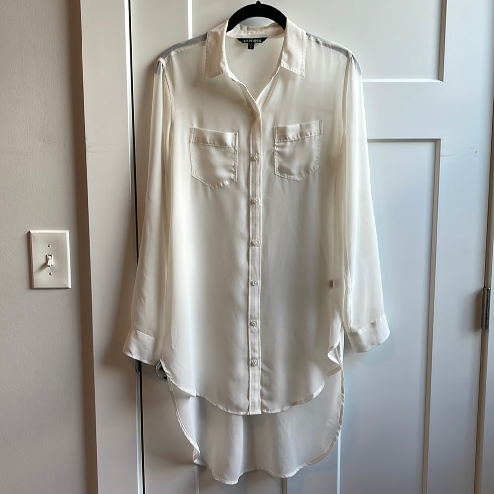 Sheer Collared Tunic Blouse
